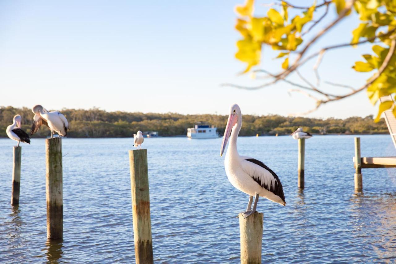 The Islander Noosa Resort Noosaville Exterior photo